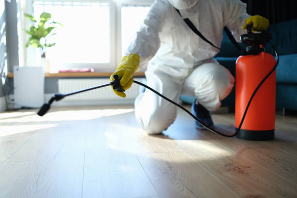 Reliable Hoarding Cleanup contractor in Portsmouth, VA by Dulley Family Biohazard Services